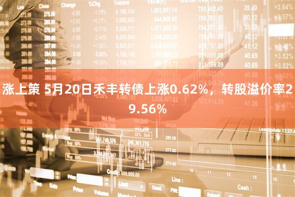 涨上策 5月20日禾丰转债上涨0.62%，转股溢价率29.56%