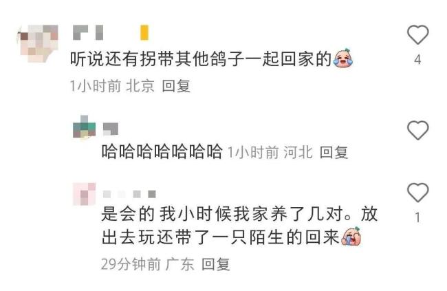 九三阅兵8万只气球最后都去哪了？可降解气球的归宿