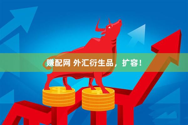 赚配网 外汇衍生品，扩容！