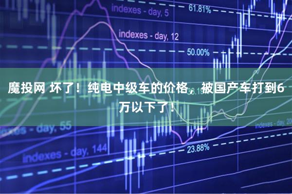 魔投网 坏了！纯电中级车的价格，被国产车打到6万以下了！